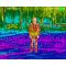 Тепломонокуляр Flir Breach PTQ136 320 x 256 (PTQ136 320 x 256)